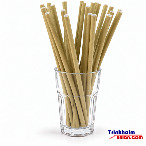 3.250 (10x325 St.) GRAS PAPIER JUMBO Trinkhalme - 250x8 mm - natur