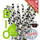 3.250 (13x250 St.) 4 lagige PAPIER JUMBO Trinkhalme - 250x8 mm - KUH Muster